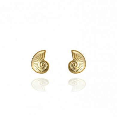 Piercings Caracola Oro - Molto Amore Co.